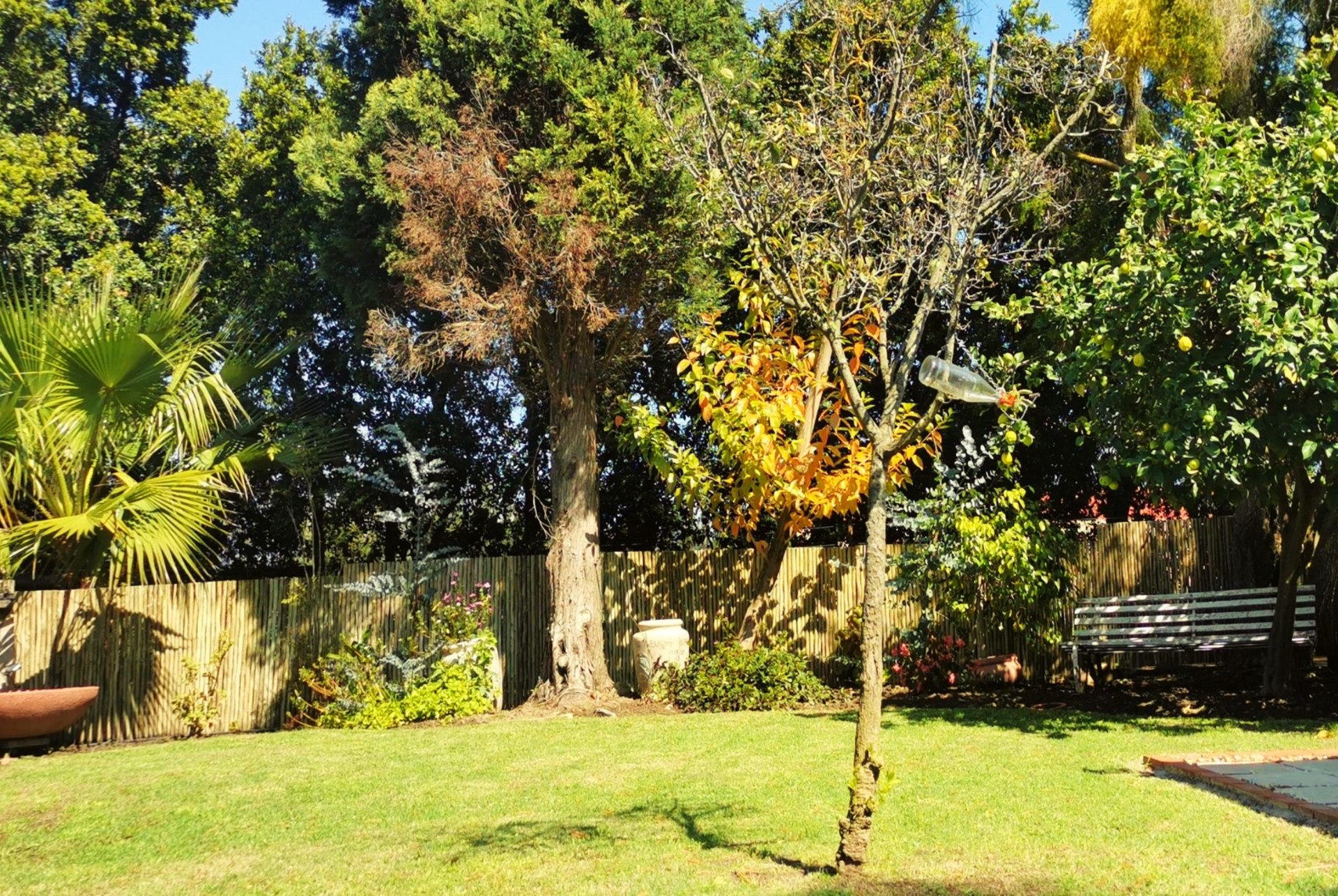 Garden area kids side